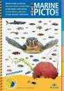 Marine Pictolife Indian Ocean and Red Sea [multilingual]