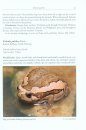 Amphibians and Reptiles of the Seribuat Archipelago (Peninsular Malaysia)