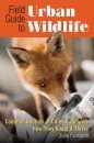 Field Guide to Urban Wildlife