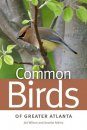 Common Birds of Greater Atlanta