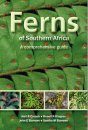 Ferns of Southern Africa