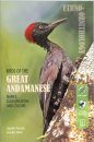 Birds of the Great Andamanese