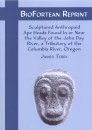 Sculptured Anthropoid Ape Heads Found in or near the Valley of the John Day River