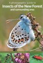 A Photographic Guide to Insects of the New Forest and Surrounding Area