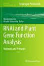 RNAi and Plant Gene Function Analysis