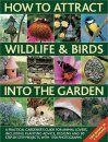 How to Attract Wildlife and Birds into the Garden