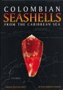 Colombian Seashells from the Caribbean Sea