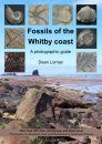 Fossils of the Whitby Coast