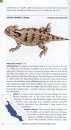 Field Guide to Amphibians and Reptiles of California