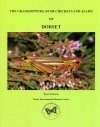 The Grasshoppers, Bush-crickets and Allies of Dorset