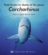 Field Guide for Sharks of the Genus Carcharhinus