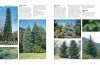 Dirr's Encyclopedia of Trees & Shrubs