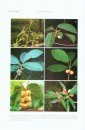 Flora of Thailand, Volume 10, Part 4