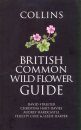 Collins British Common Wild Flower Guide