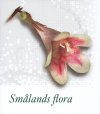Smålands Flora (2-Volume Set) [Swedish]