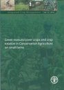 Green Manure/Cover Crops and Crop Rotation in Conservation Agriculture on Small Farms