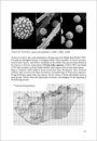 Fungi non Delineati 56-57: Characteristic and Rare Species of Gasteromycetes in Eupannonicum