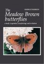 The Meadow Brown Butterflies