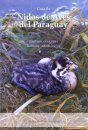 Guía de Nidos de Aves del Paraguay [Guide to the Nests of Birds of Paraguay]