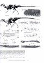 Bernissart Dinosaurs and Early Cretaceous Terrestrial Ecosystems