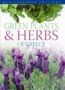 Green Plants and Herbs of Greece