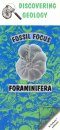 Foraminifera: Fossil Focus Guide