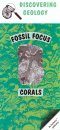 Corals: Fossil Focus Guide