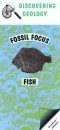 Fish: Fossil Focus Guide