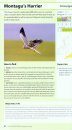 RSPB British Birdfinder