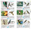Birds of Argentina and Uruguay / Aves des Argentina y Uruguay
