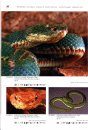 Venomous Snakes of South America / Giftschlangen Südamerikas