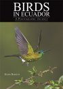 Birds in Ecuador