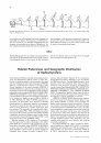 Palaeo Ichthyologica, Volume 11 [English]