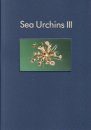Sea Urchins III