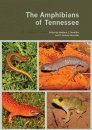 The Amphibians of Tennessee
