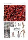 Bildatlas der Moose Deutschlands [Photographic Atlas of German Mosses], Fascicle 1b