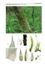 Bildatlas der Moose Deutschlands [Photographic Atlas of German Mosses], Fascicle 7