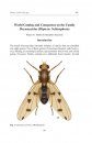 Contributions to the Systema Dipterorum (Insecta: Diptera)