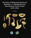 Revision of Malaysian Species of Boletales s.l. (Basidiomycota) Described by E.J.H. Corner (1972, 1974)