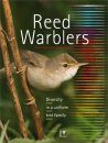 The Reed Warblers