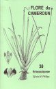 Flore du Cameroun, Volume 38 [English]