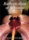 Bulbophyllum of Sulawesi