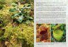 Field Guide to the Pitcher Plants of Sulawesi