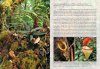 Field Guide to the Pitcher Plants of Sulawesi