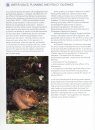 Water Vole Conservation Handbook