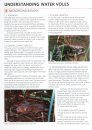 Water Vole Conservation Handbook