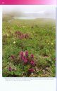 Wildflowers and other Plant Life of the Kodiak Archipelago