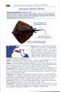 Tiburones, Rayas, Quimeras, Lampreas y Mixínidos de la Costa Atlántica de la Península Ibérica y Canarias [Sharks, Rays, Chimaeras, Lampreys and Hagfish of the Atlantic Coast of the Iberian Peninsula and the Canary Islands]