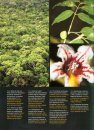 Rapid Biological Inventories, Volume 20: Ecuador, Perú: Cuyabeno-Güeppí [English / Spanish]