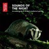 Sounds of the Night